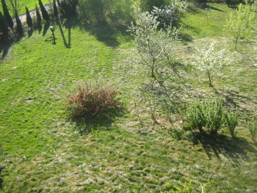 Jardín al aire libre en Noclegi na Debinie