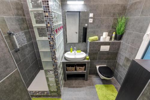 een kleine badkamer met een wastafel en een douche bij Palace Residence in Boedapest