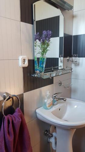 Gallery image of PS Apartments - Peshtani in Peštani