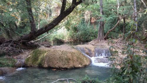 a stream in the middle of a forest at Villa Lei Rigaü in Salernes