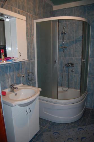 a bathroom with a shower and a sink at Vila Ljubomir - Srebrno Jezero in Kisiljevo