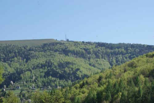 a distant view of a hill with trees at Apartament w Kozubniku z widokiem na góry in Porąbka