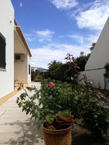 Κήπος έξω από το Sensations Guesthouse