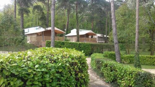 ein paar Hütten in einem Wald mit Bäumen in der Unterkunft Camping 46 Rainettes in Goujounac