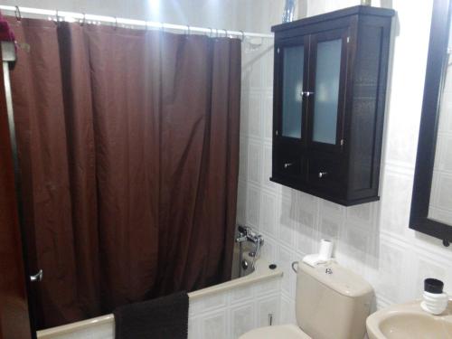 a bathroom with a toilet and a brown shower curtain at Andrea´s place in Ciudad Real