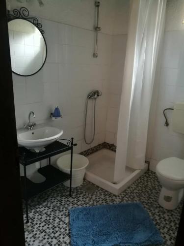 a bathroom with a sink and a shower and a toilet at Agroturizam Toni in Motovun