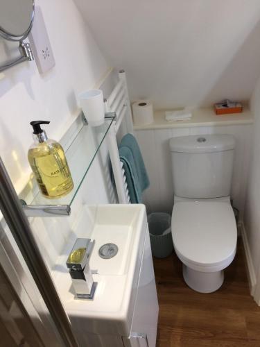 a bathroom with a white toilet and a sink at Pump View in Weymouth