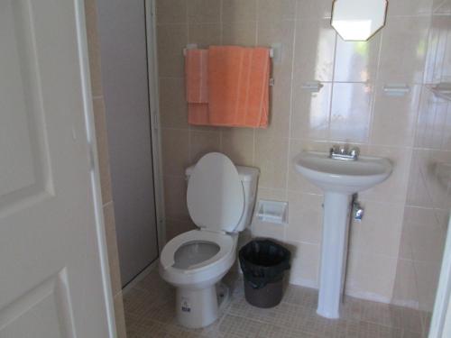 een badkamer met een toilet en een wastafel bij Hotel Pedregal in Tamasopo