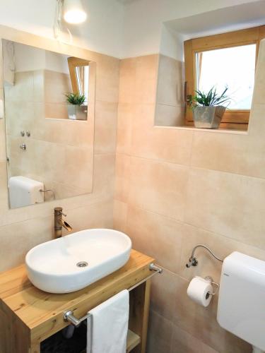 a bathroom with a white sink and a mirror at Apartment Cernesa in Ražanac