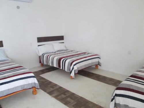 Fotografie z fotogalerie ubytování Hotel Pedregal v destinaci Tamasopo