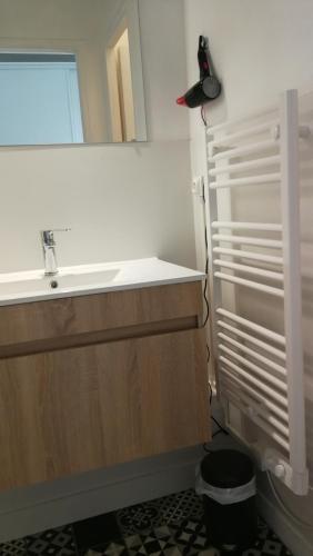 une salle de bain avec un lavabo et un miroir dans l'établissement Appartement les Regrattiers, à Poitiers