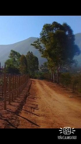 a dirt road with trees and a mountain in the background at Viña Calabria in Valle de Guadalupe