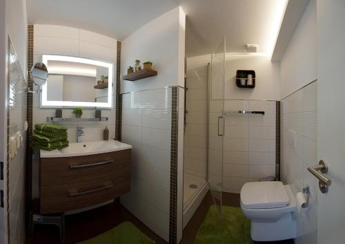 een badkamer met een toilet, een wastafel en een douche bij Ferienhof Elbaue in Schönebeck