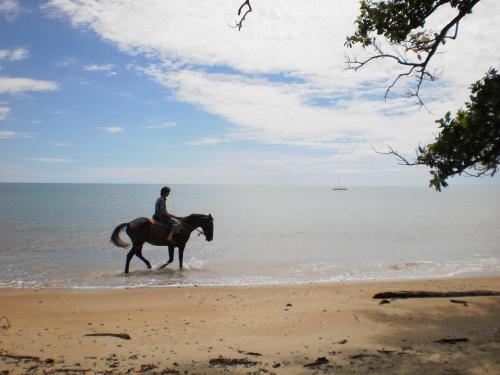 a person riding a horse on the beach at Epiphyte B & B in Cape Tribulation