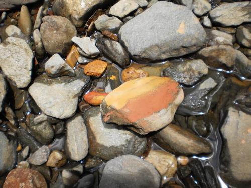 a bunch of rocks on a beach with water at Epiphyte B & B in Cape Tribulation