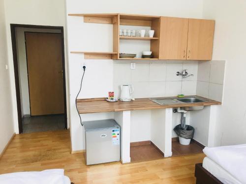 a small kitchen with a counter and a sink at Dusan Apartments in Orlová