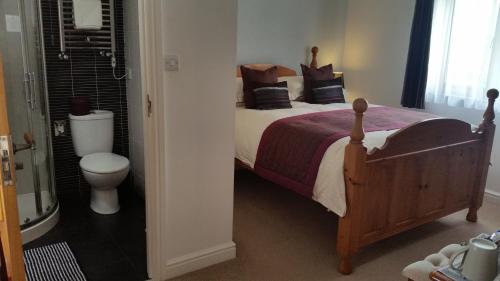 a bedroom with a bed and a toilet at Mandeley Guest House in Helston