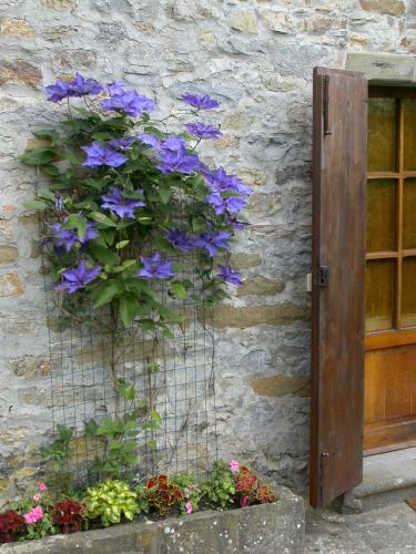 a basket of purple flowers on the side of a building at Fattoria Poggerino in Radda in Chianti
