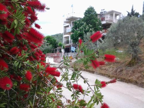 Gallery image of Theoxenia in Pteleós