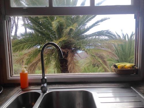 a kitchen sink with a window and a palm tree at Casa ALMA in Hermigua