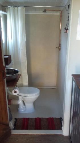 a bathroom with a toilet and a sink at Kleinfontein in Clanwilliam