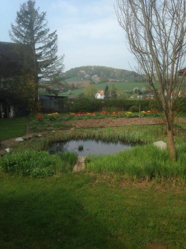 a pond in the middle of a yard at Josefine in Waldkappel