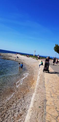 a group of people on a beach near the water at Port in Izola