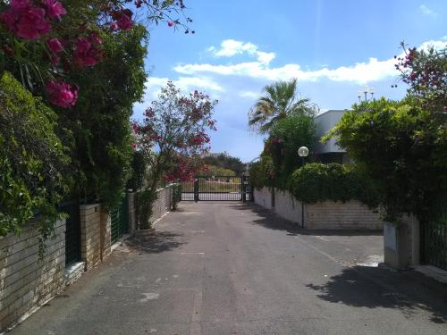 ポルト・チェザーレオにあるCasa Diego solaria porto cesareoの柵と花の空き道
