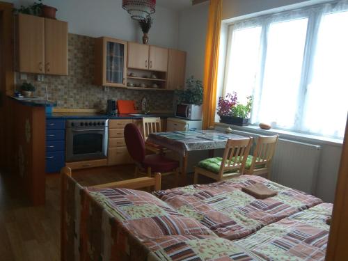 チェスキー・クルムロフにあるUbytování u Dolanskýchのキッチン(テーブル、椅子付)、窓付きのキッチン