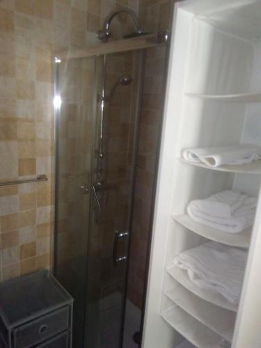 a bathroom with a shower and a walk in shower at El Rincon De Zaldierna in Zaldierna