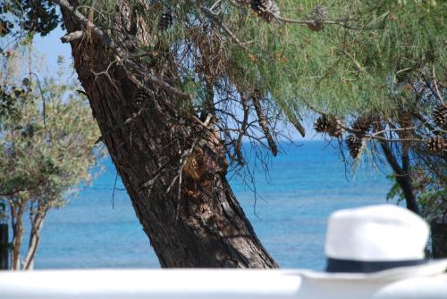 a tree next to the ocean with a hat on a boat at Casa Montzo boutique hotel in Katelios