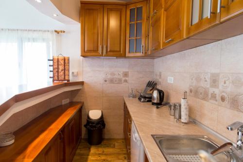 uma cozinha com armários de madeira e uma pia em Lux Apartments Fabris em Kotor