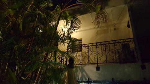 a balcony of a house with plants in front of it at Appartement Centre Sainte-Clotilde in Sainte-Clotilde