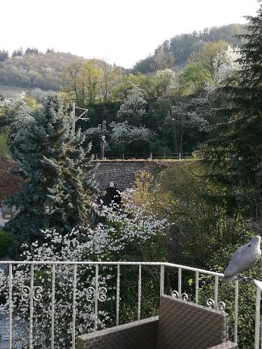 a bird is sitting on a white fence at Gästehaus Spies in Bullay