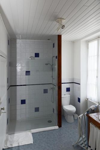 une salle de bain avec douche et toilettes dans l'établissement Chambres d'hôtes Les Tilleuls, à Le Poiré-sur-Velluire