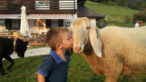 a young boy is kissing a goat at Hotel Mirabello - Slow Hotel Benessere in Fiera di Primiero