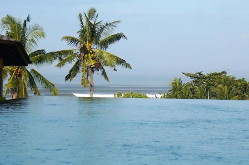 a palm tree in the water next to a beach at Balian Prana in Selemadeg