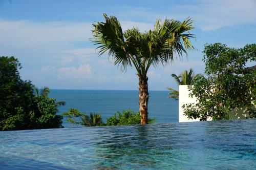 a swimming pool with a palm tree and the ocean at Balian Prana in Selemadeg