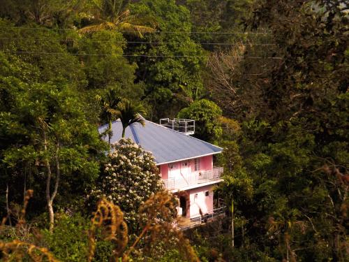 une maison rose au milieu d'une forêt dans l'établissement Drizzle Valley Cottage, à Munnar