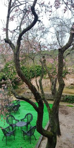 a group of benches and a tree with green grass at El Albergue de Sigüenza in Sigüenza