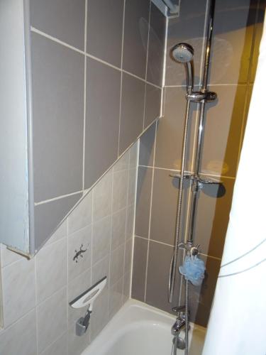 eine Dusche in einem Badezimmer mit Badewanne in der Unterkunft La SALAMANDRE in Gérardmer