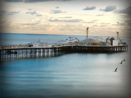a pier on the water with two birds in the water at Queens Hotel & Spa in Brighton & Hove