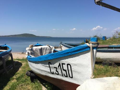 two boats sitting on the grass near the water at Guest House Niya Chernomorets in Chernomorets