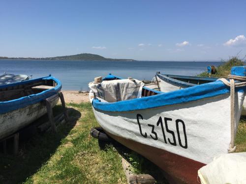 two boats sitting on the grass near the water at Guest House Niya Chernomorets in Chernomorets
