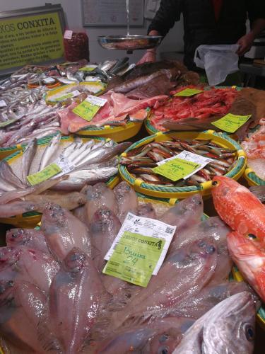 a bunch of fish on display at a fish market at Hostal Plaja i Pati de Can Plaja in Palafrugell