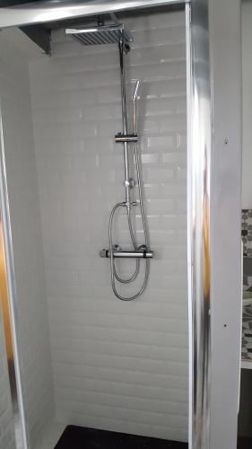 um chuveiro numa casa de banho com uma parede branca em le Cabanon de LEA em Tavel