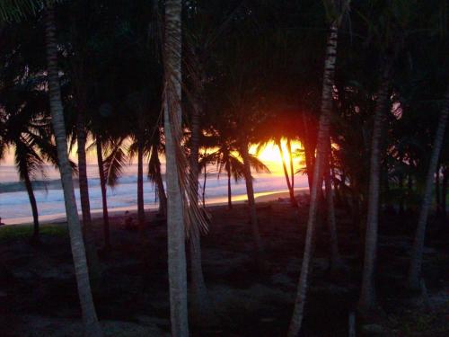 a sunset through a group of palm trees on the beach at Plumita Pacifica in Playa Junquillal