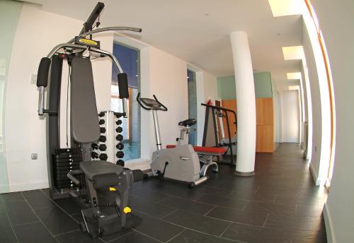 a gym with treadmills and exercise equipment in a room at Tierra de Biescas in Biescas