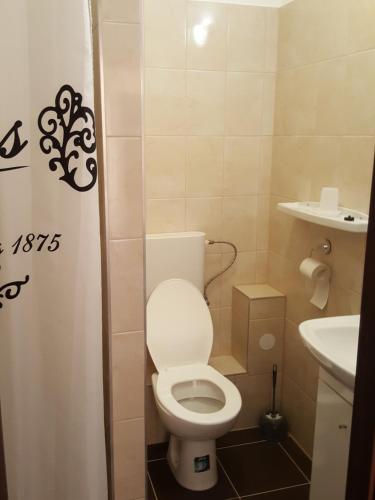 Un baño pequeño con inodoro y lavabo. en Berény Panzió, en Balatonberény