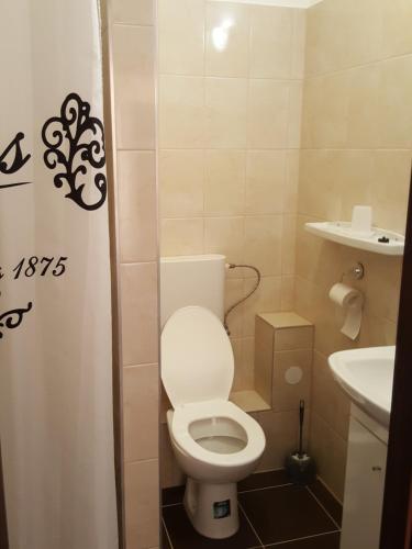 a small bathroom with a toilet and a sink at Berény Panzió in Balatonberény